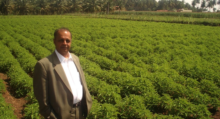 Sabinsa Grows Herb Cultivation Program